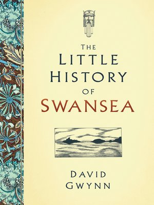 cover image of The Little History of Swansea